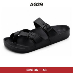AG29