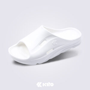 Alternative view of AH219