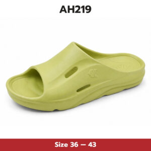 AH219