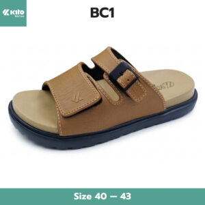 BC1
