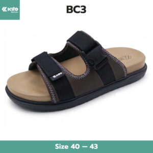 BC3