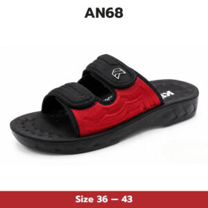 AN68