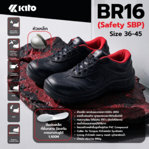 Alternative view of BR16 (SAFETY SBP)